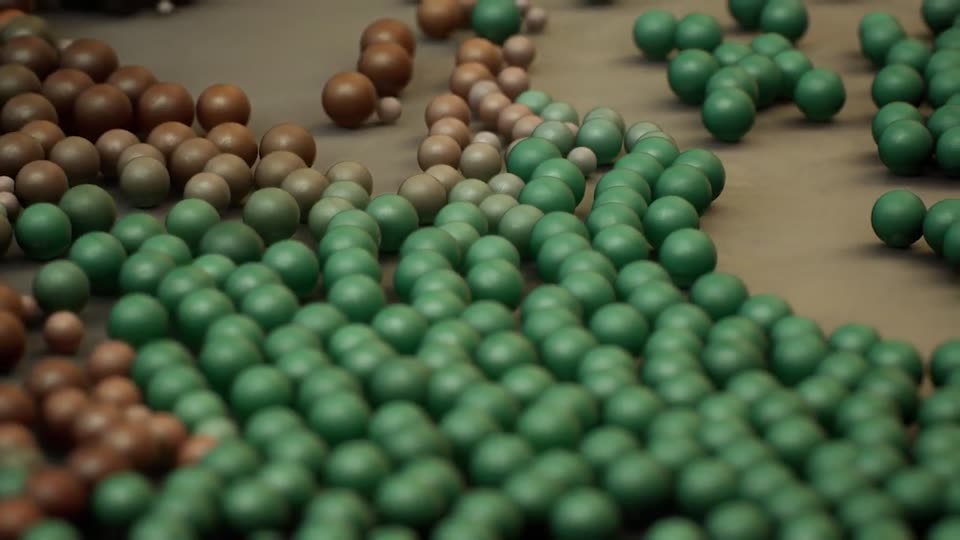 Te Tāhuhu o te Mātauranga — Frame 5